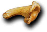 Restaurant Espagnol & Bar à Tapas