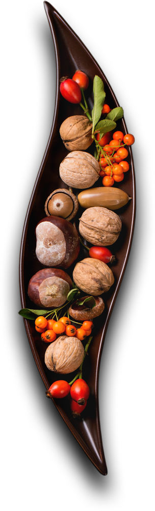 Restaurant Espagnol & Bar à Tapas