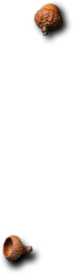 Restaurant Espagnol & Bar à Tapas