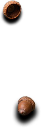 Restaurant Espagnol & Bar à Tapas